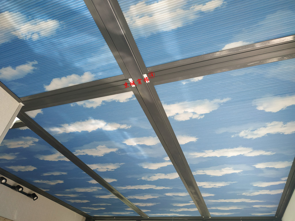 ������Ҷ����,���ͼƬ�Ŵ�