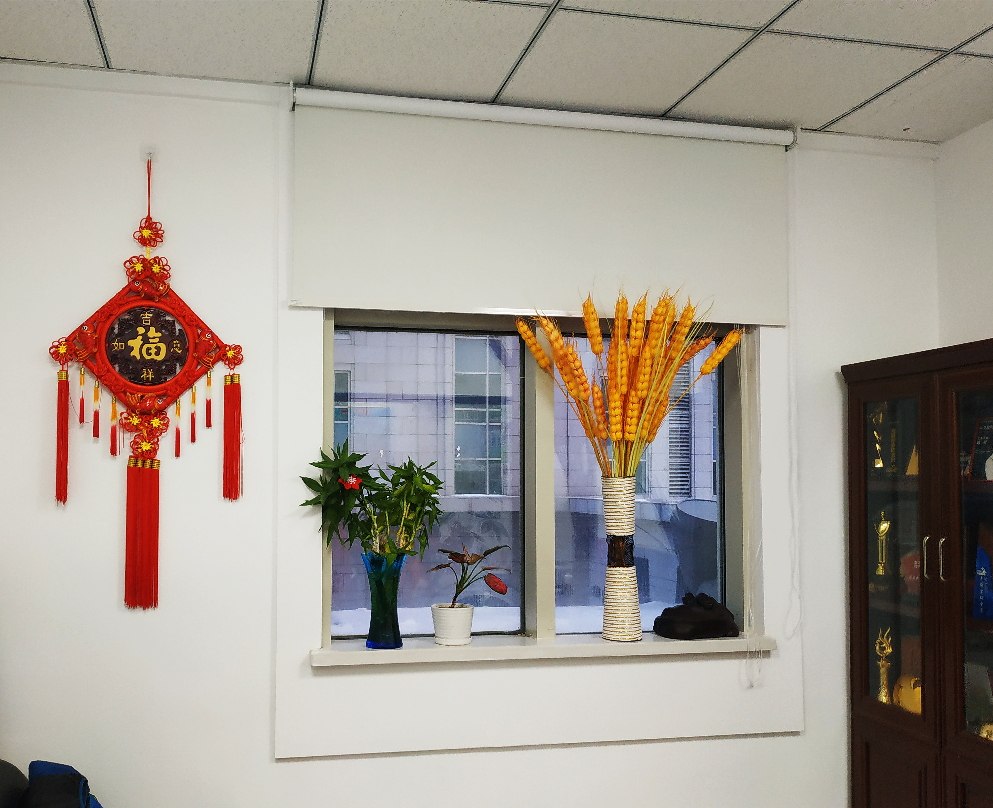 �������Ǵ�����������,���ͼƬ�Ŵ�