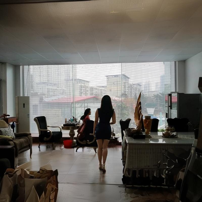 ��Ҷ�����۸�